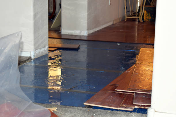 Professional Flood Damage Repair technician working in Knightdale, NC